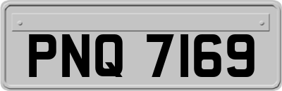 PNQ7169