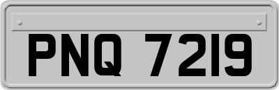 PNQ7219