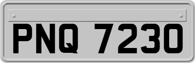 PNQ7230
