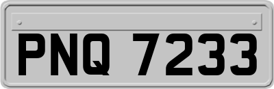 PNQ7233