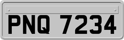 PNQ7234