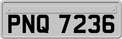 PNQ7236