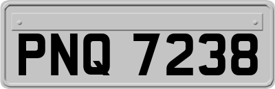 PNQ7238