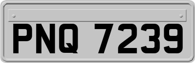 PNQ7239