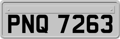 PNQ7263
