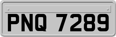 PNQ7289