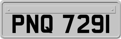PNQ7291