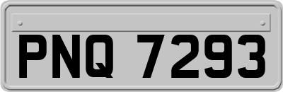 PNQ7293