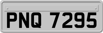 PNQ7295