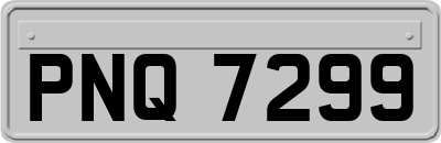 PNQ7299