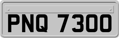PNQ7300