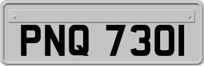 PNQ7301