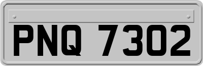 PNQ7302
