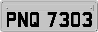 PNQ7303