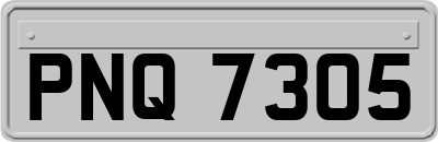 PNQ7305