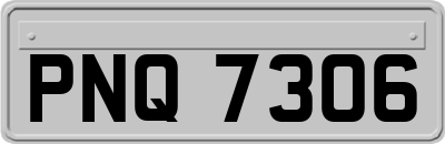 PNQ7306