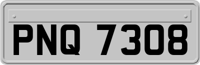 PNQ7308