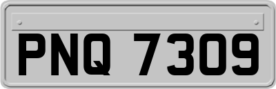 PNQ7309