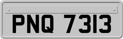 PNQ7313