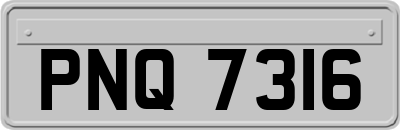PNQ7316