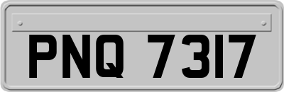 PNQ7317