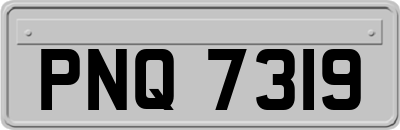 PNQ7319