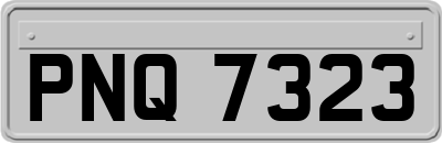 PNQ7323