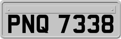 PNQ7338