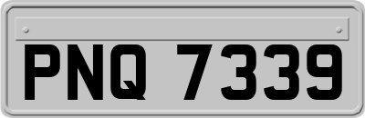PNQ7339