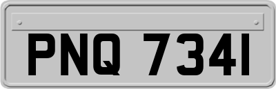 PNQ7341