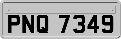 PNQ7349