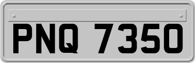 PNQ7350