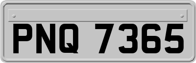 PNQ7365