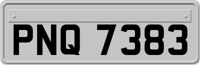 PNQ7383