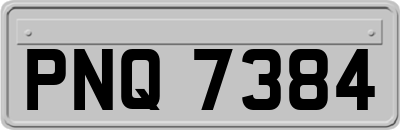 PNQ7384