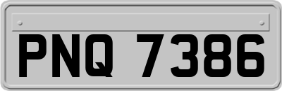 PNQ7386