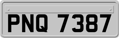 PNQ7387