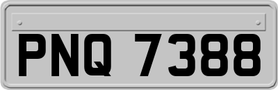PNQ7388