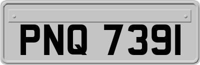 PNQ7391
