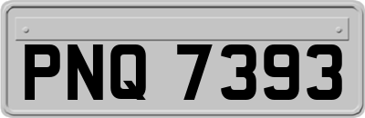 PNQ7393