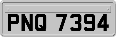 PNQ7394