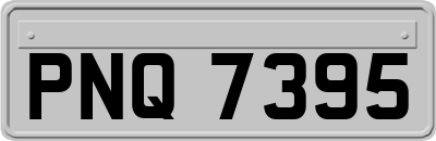 PNQ7395