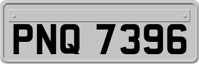 PNQ7396
