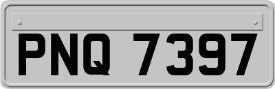 PNQ7397
