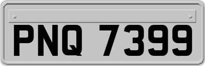 PNQ7399