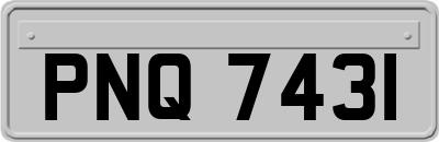 PNQ7431