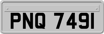 PNQ7491