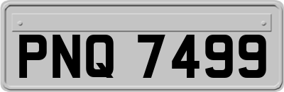 PNQ7499