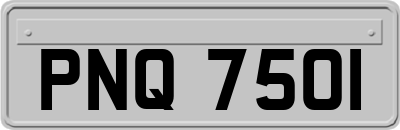 PNQ7501
