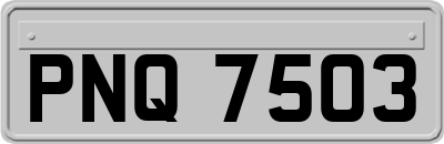 PNQ7503